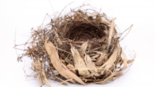 Thumbnail of post image 154