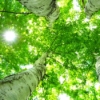 Thumbnail of related posts 074